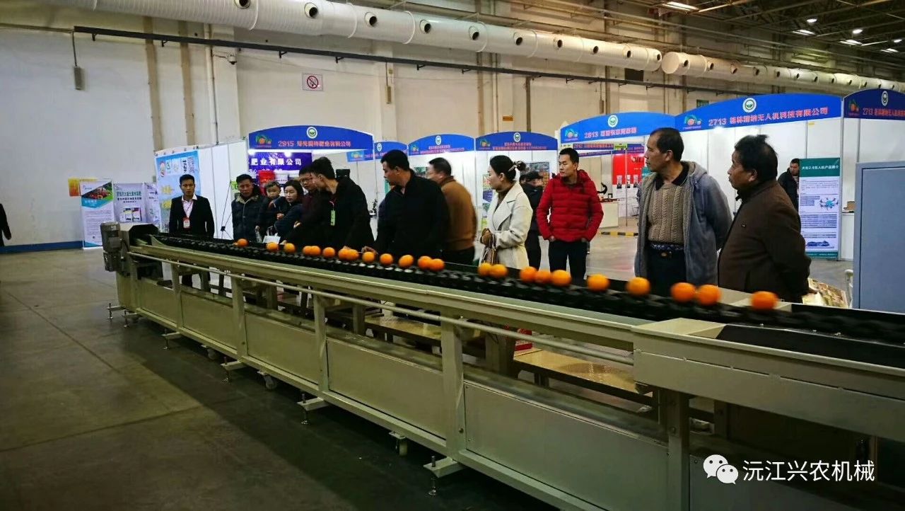 沅江興農機械制造有限公司,沅江水果分選機,沅江水果清洗機,沅江水果打蠟機哪里好,沅江興農機 沅江興農機械制造有限公司,沅江水果分選機,沅江水果清洗機,沅江水果打蠟機哪里好,沅江興農機